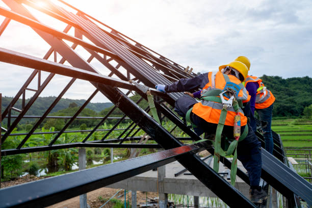 Best Roof Gutter Cleaning  in Clayton, NC