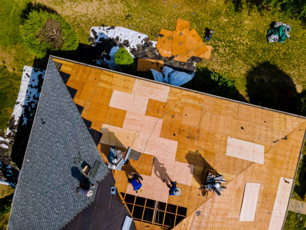Best Metal Roofing Contractor  in Clayton, NC